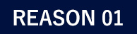 reason01